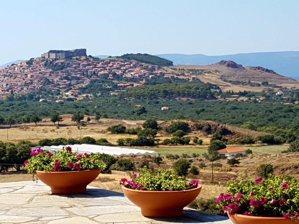 Villa Molivos Views Mythimna Exterior photo